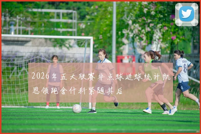 2026年五大联赛非点球进球统计凯恩领跑舍什科紧随其后