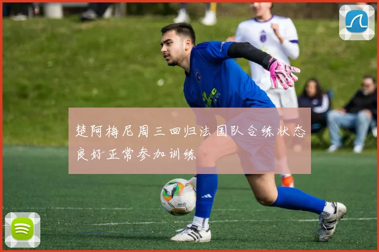 楚阿梅尼周三回归法国队合练状态良好正常参加训练