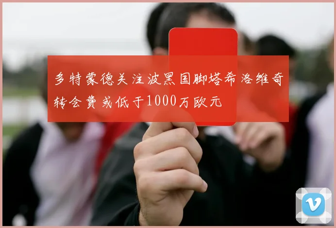 多特蒙德关注波黑国脚塔希洛维奇转会费或低于1000万欧元